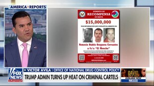 Mexico Cartel Violence playlist