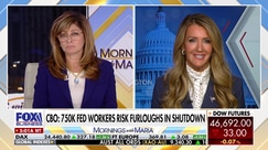 Kelly Loeffler criticizes Democrats for "Schumer shutdown" impacting small businesses
