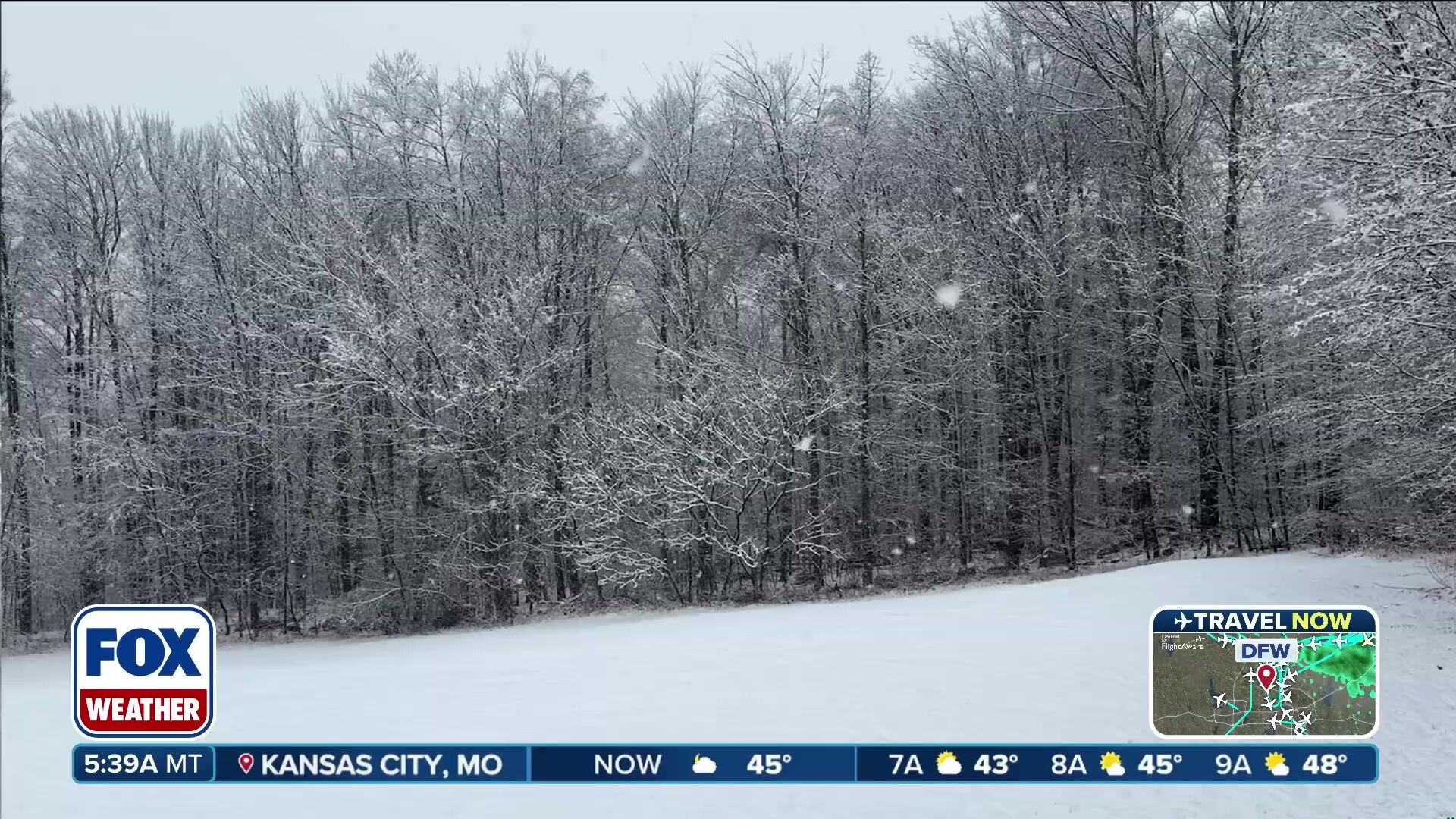 Understanding Winter Precipitation: Snow, Sleet, Freezing Rain, and Rain