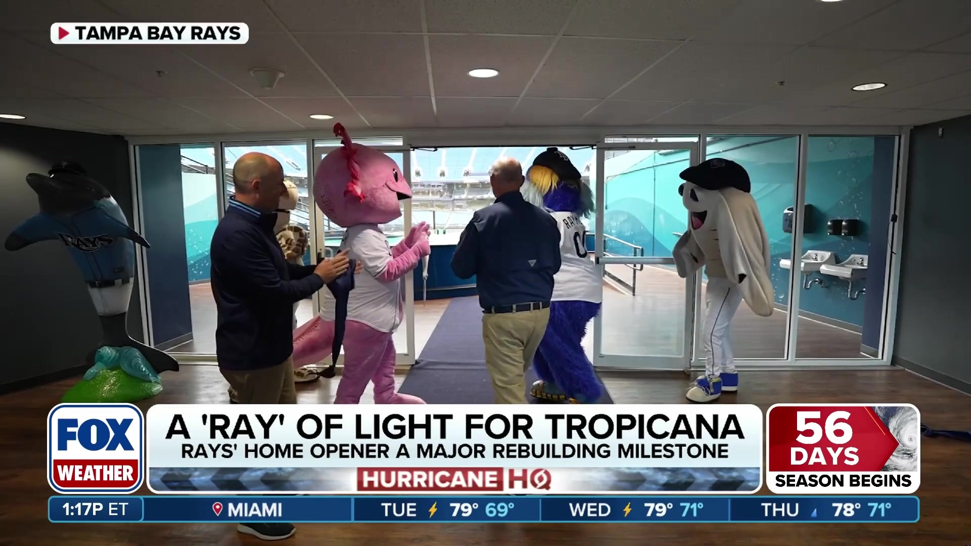 Tropicana Field celebrates reopening with resilient stingrays and roof mementos