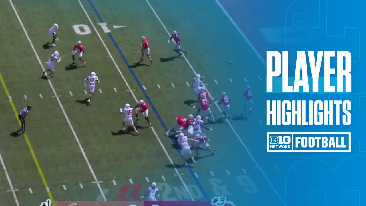 Jeremiah Smith vs. Texas Longhorns - Game Highlights