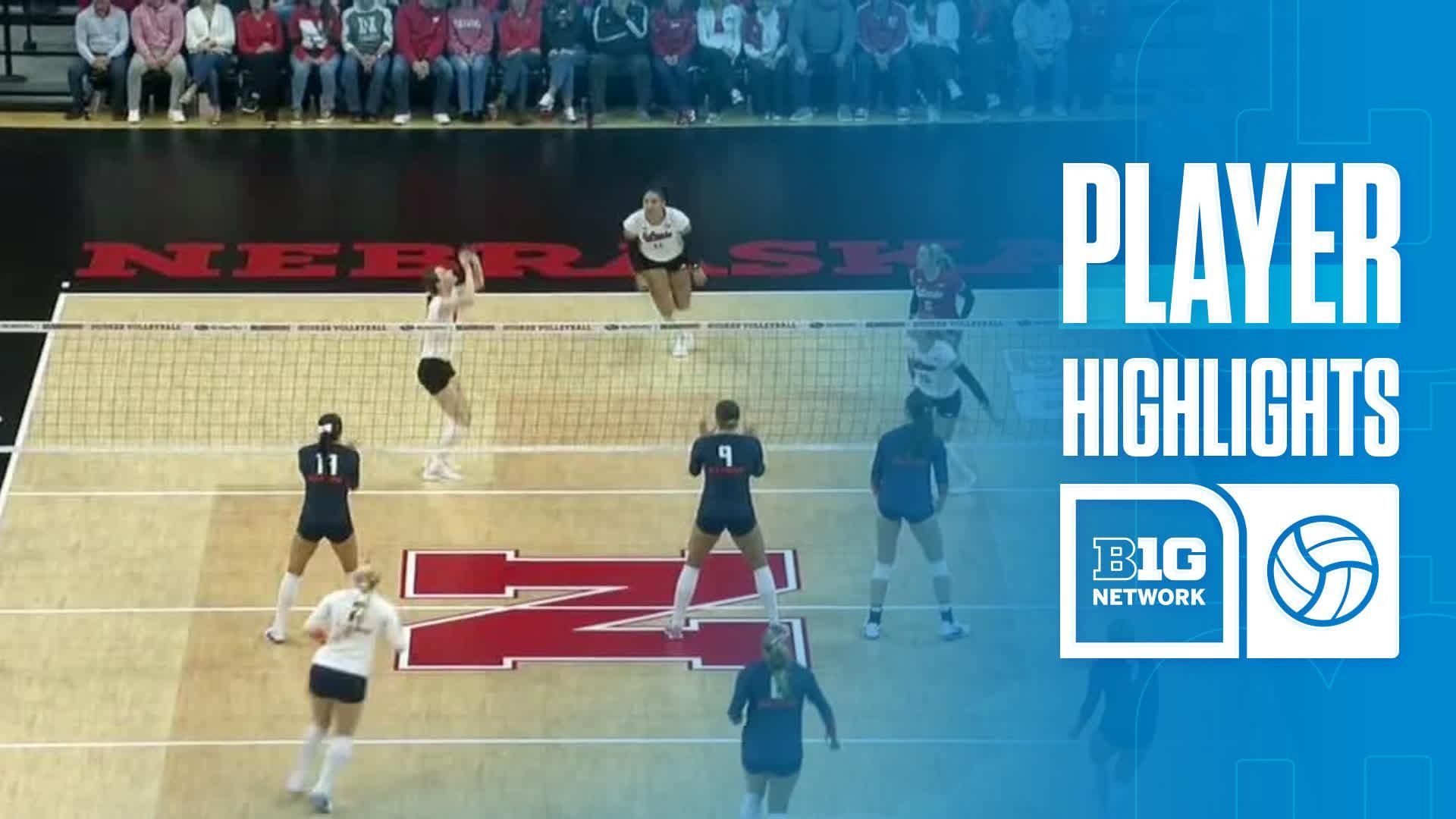 Andi Jackson vs. Illinois - Game Highlights