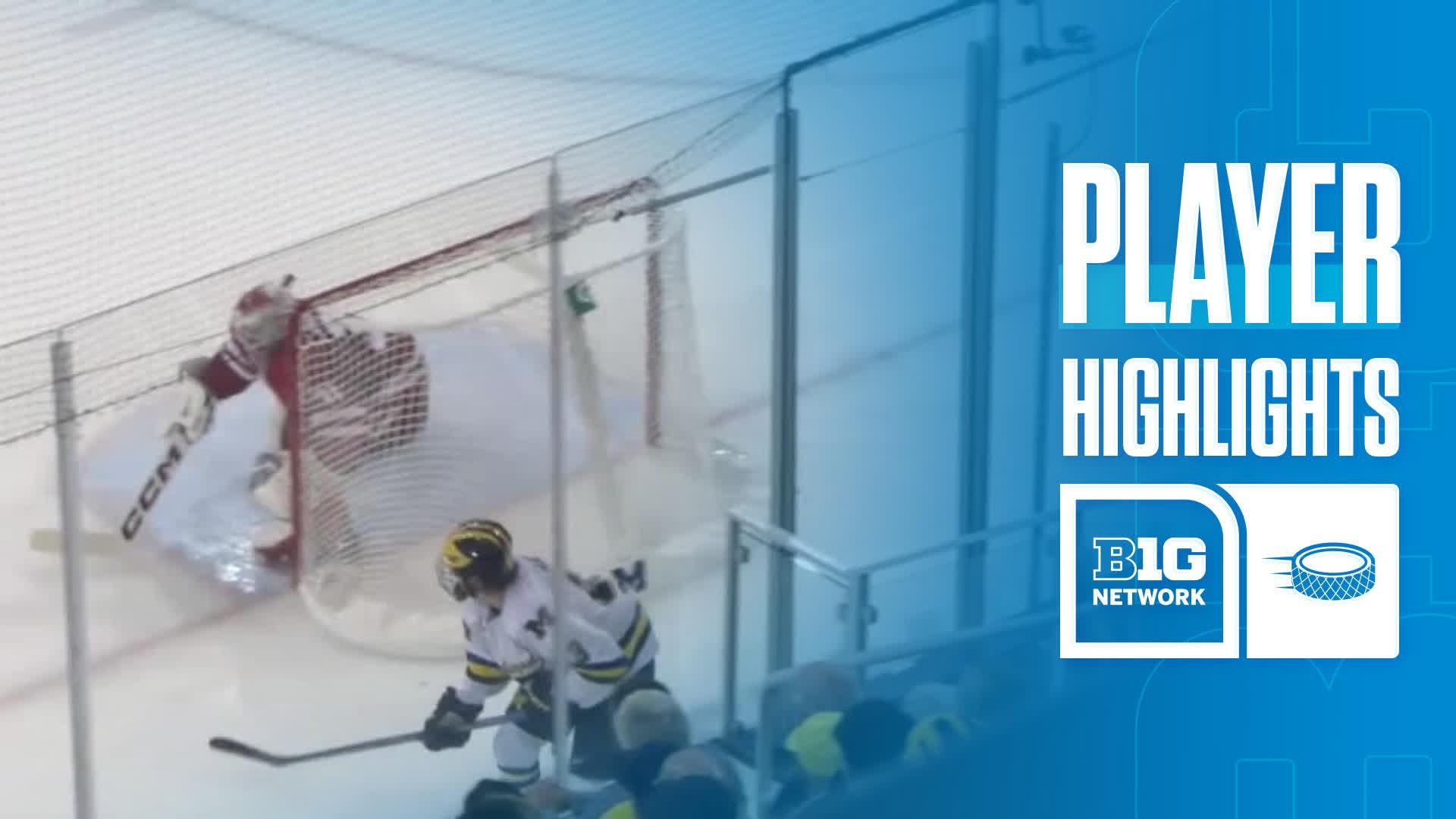 T.J. Hughes vs. Wisconsin Badgers - Game Highlights