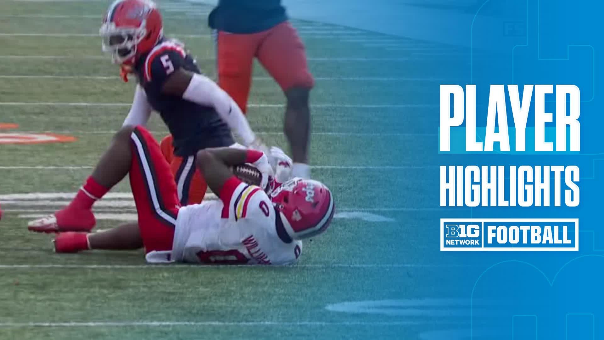 DeJuan Williams vs. Illinois Fighting Illini - Game Highlights