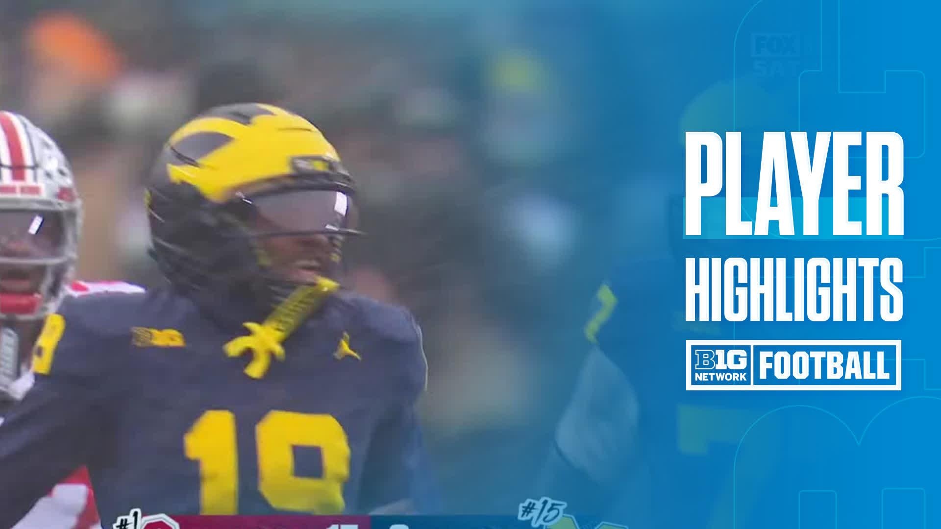 Donaven McCulley vs. Ohio State Buckeyes - Game Highlights