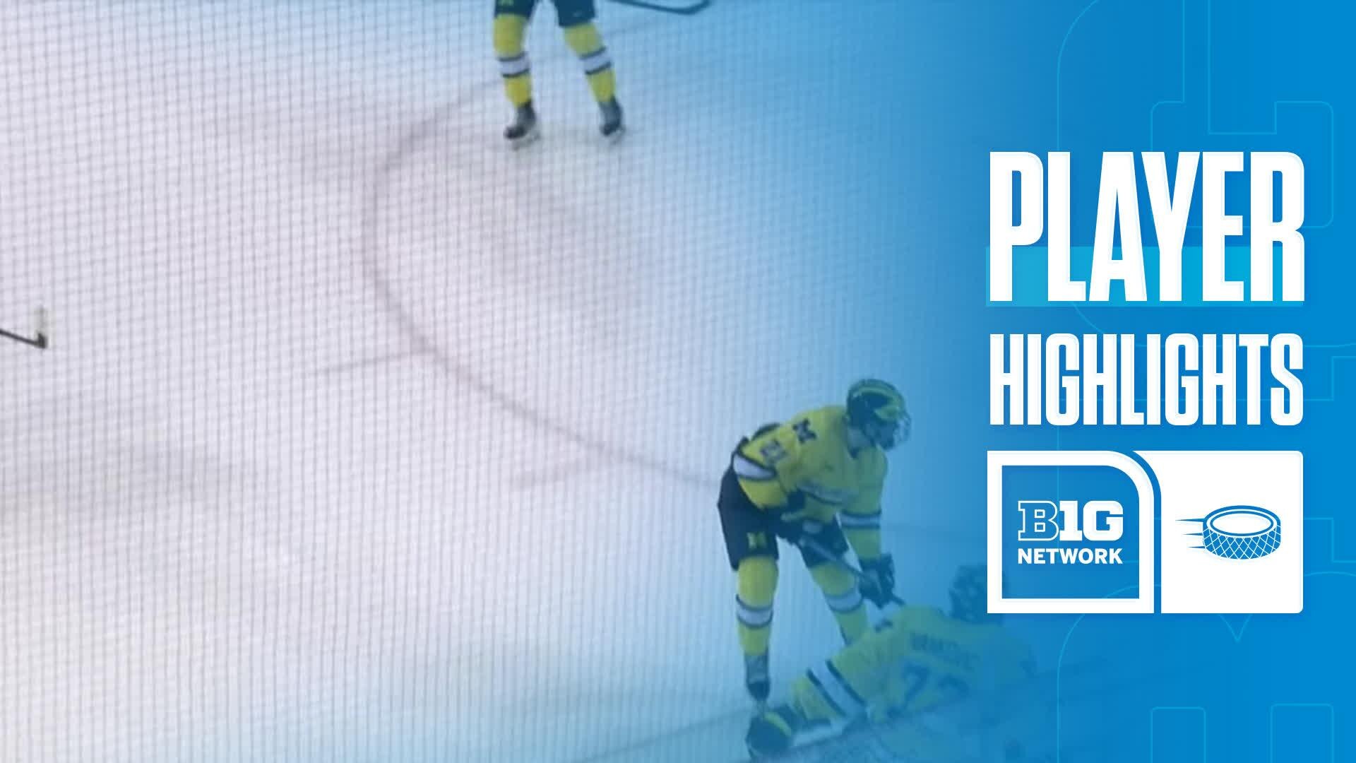 Anthony Romani vs. Michigan Wolverines - Game Highlights