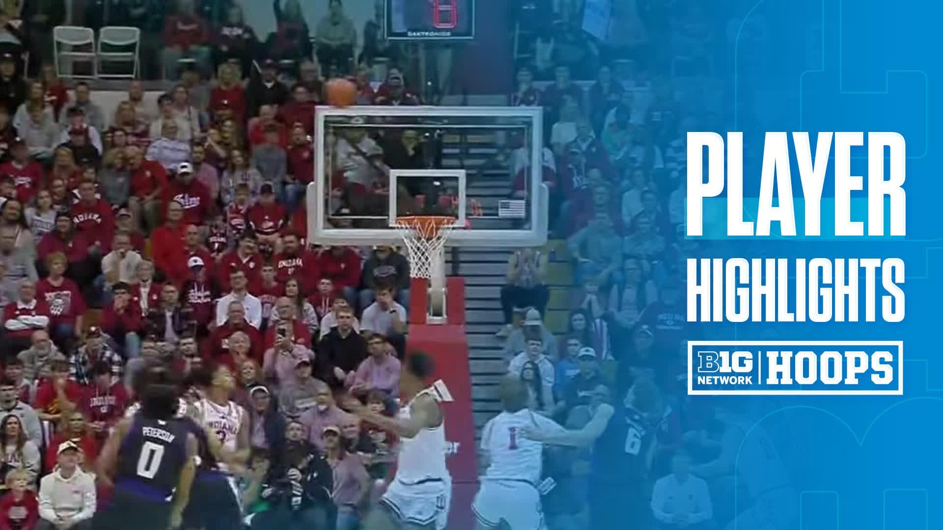 Hannes Steinbach vs. Indiana Hoosiers - Game Highlights