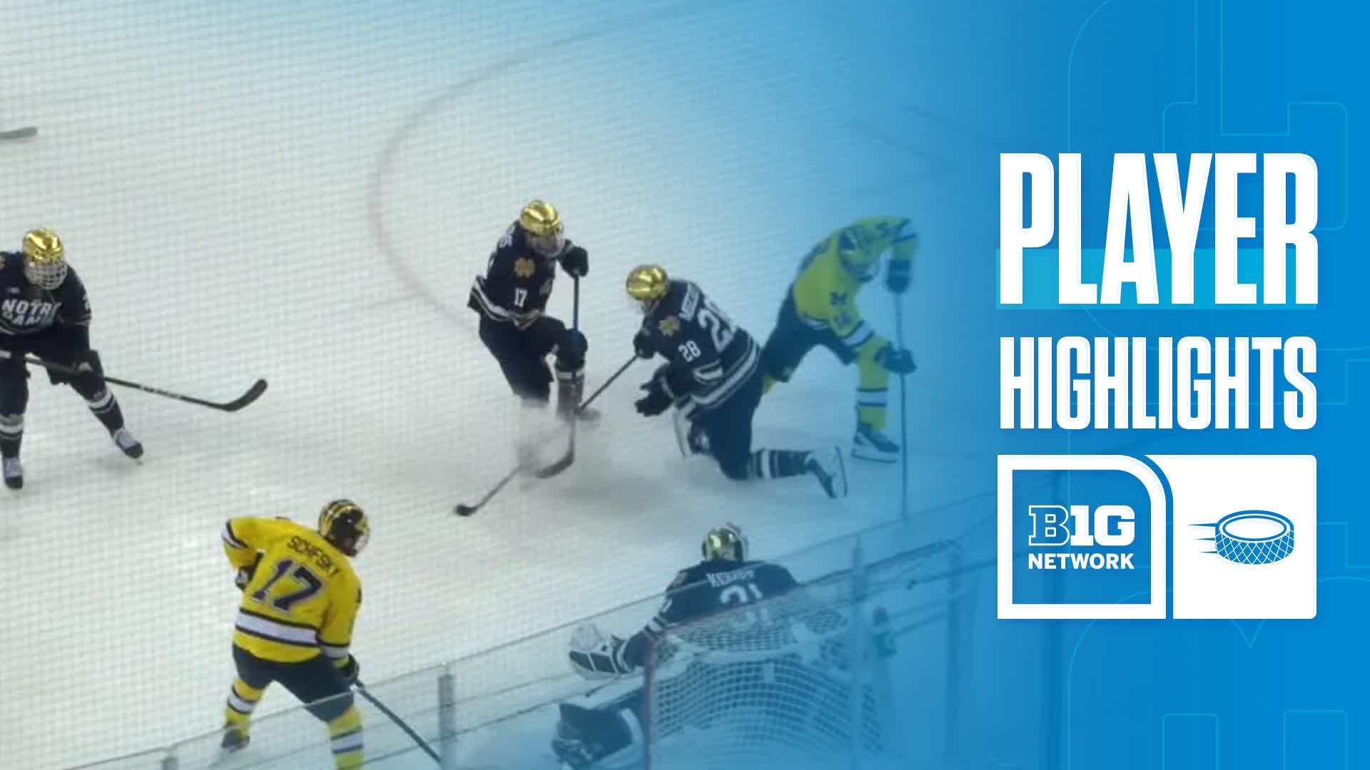 Garrett Schifsky vs. Notre Dame Fighting Irish - Game Highlights