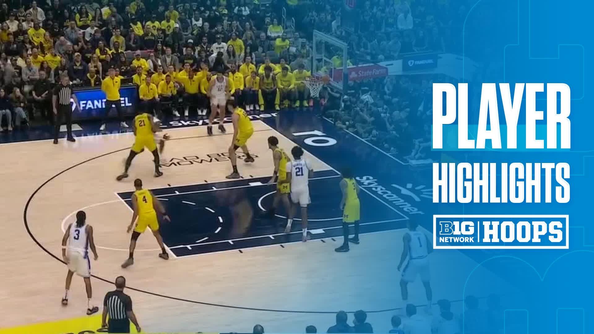 Cameron Boozer vs. Michigan Wolverines - Game Highlights