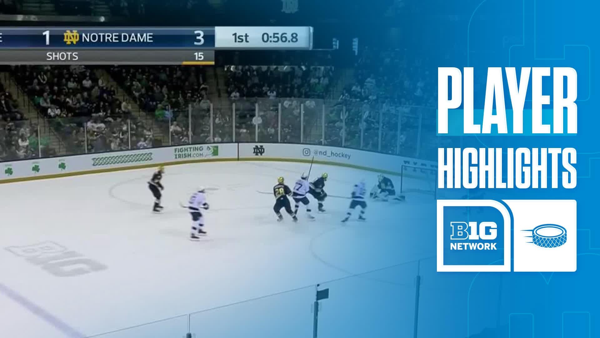 Aiden Fink vs. Notre Dame Fighting Irish - Game Highlights