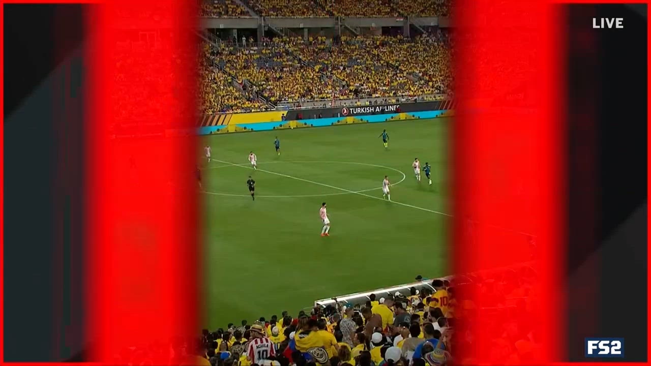 Catch Up with Highlights