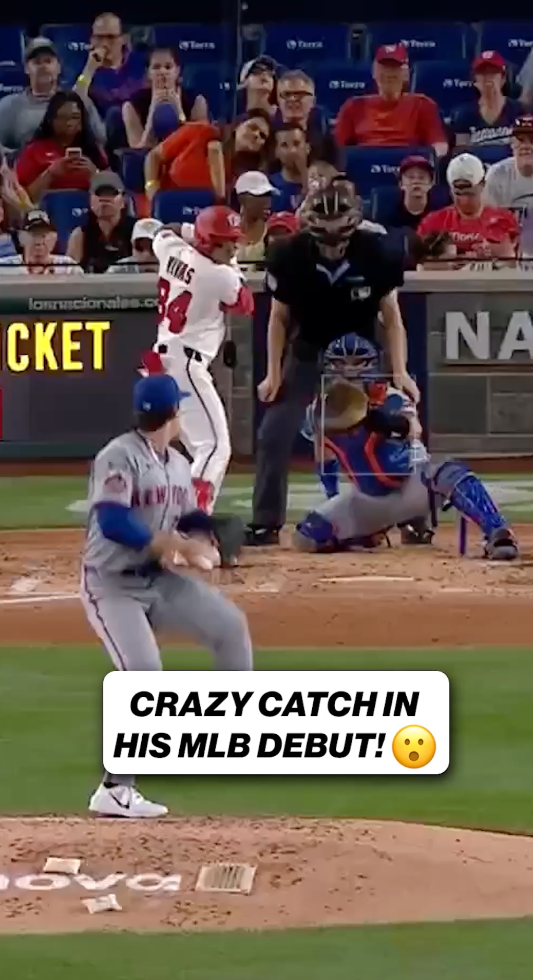 WOW! Nick Morabito with the grab into the stands in his MLB debut!