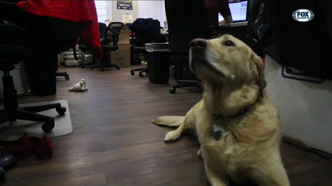 Brooks, The Team Dog | Riders Insider