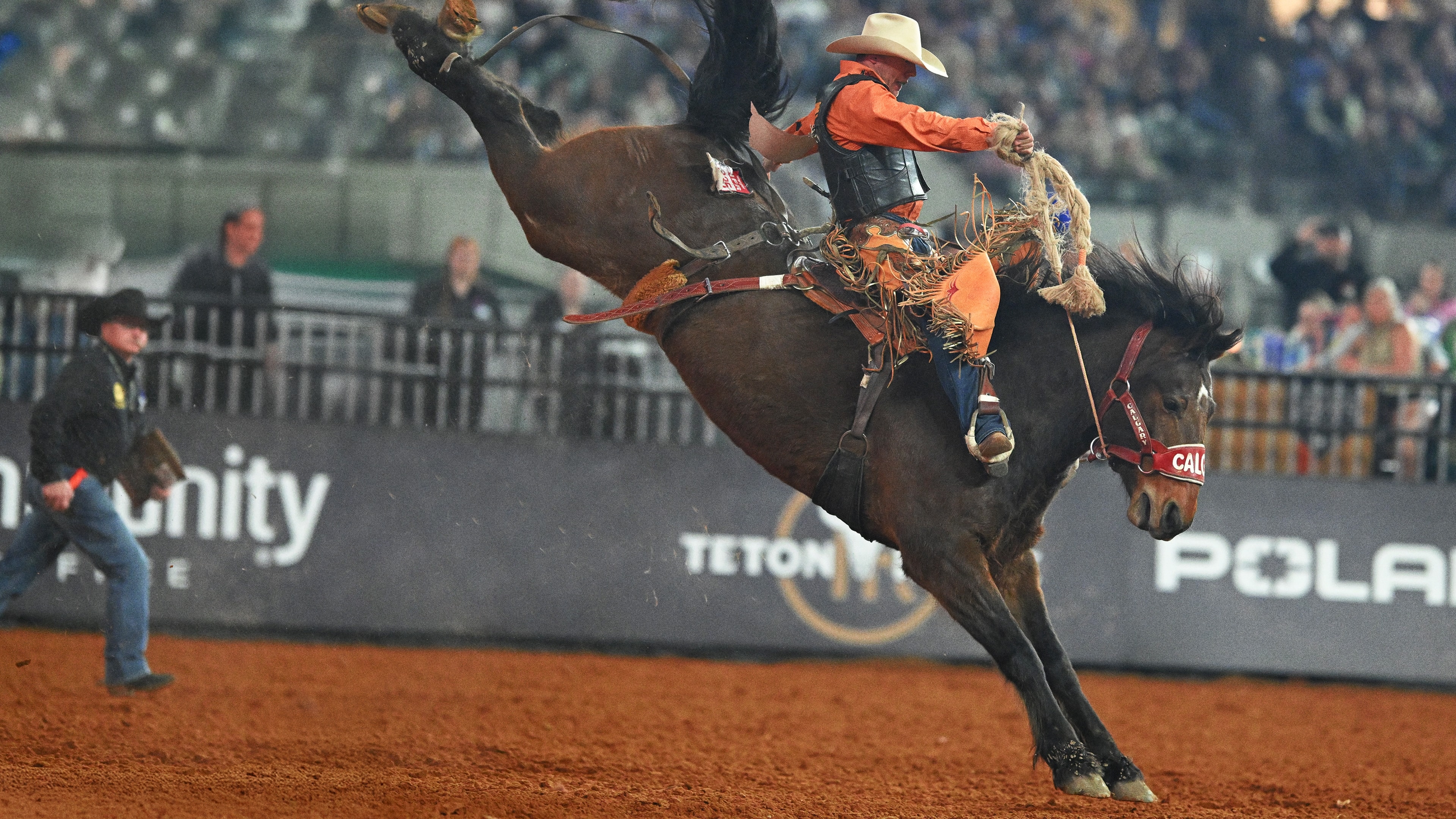 THE AMERICAN RODEO - The American Contender Regional - West Finals