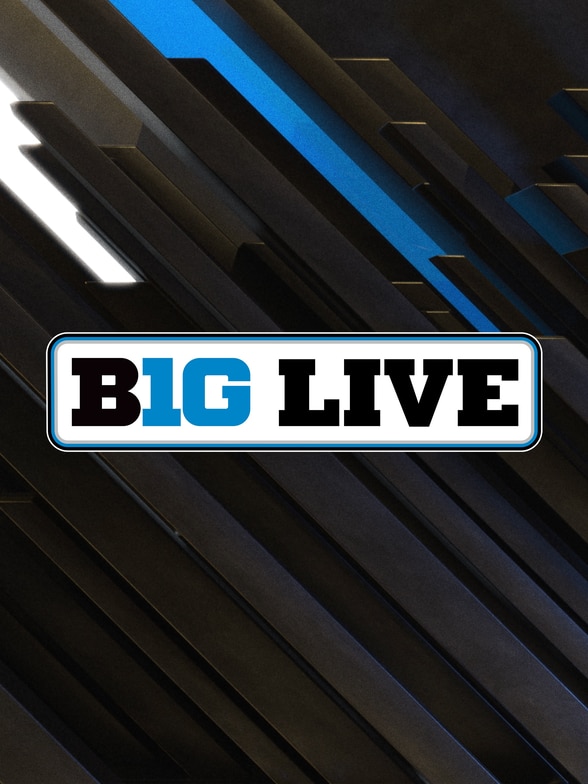 B1G Live SERIES poster