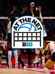 At the Net SERIES poster