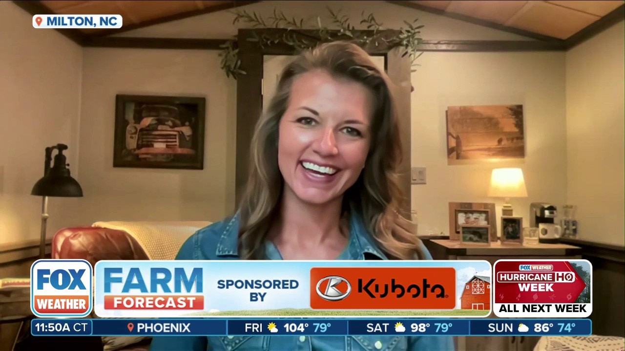 'This Farm Wife' on leaving corporate job to become a farmer