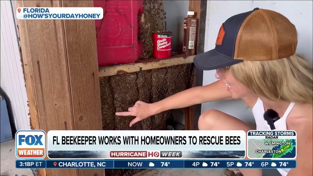 Some want them gone, while others turn efforts into a rescue mission