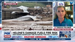 Damage from Hurricane Helene poses significant fire risk in Southeast
