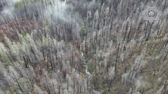 Drone video of the search and rescue efforts for missing hunter