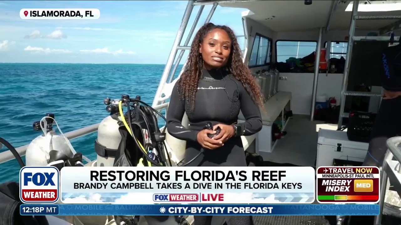 Take A Dive Into The Restoration of Florida's Reefs With FOX Weather's Brandy Campbell