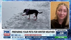 Keeping pets safe during extreme cold and winter weather