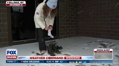 Winter storm across America