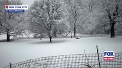 New York City was covered in snow on Sunday morning