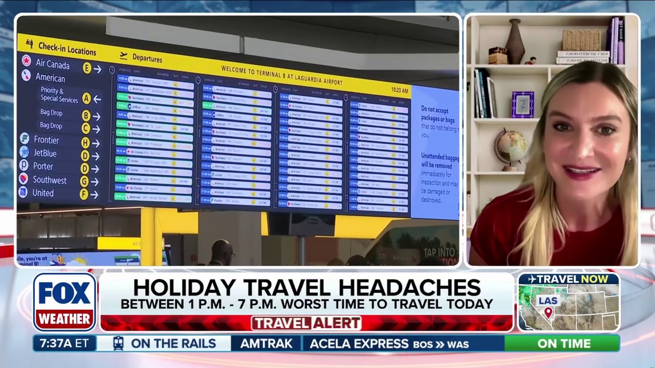 Faye Travel Insurance Communications Vice President Lauren Gumport joins FOX Weather to discuss holiday travel preparations