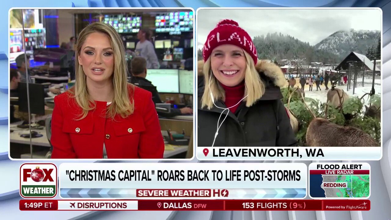 Reindeer farm opens back up after flash flooding in Washington 