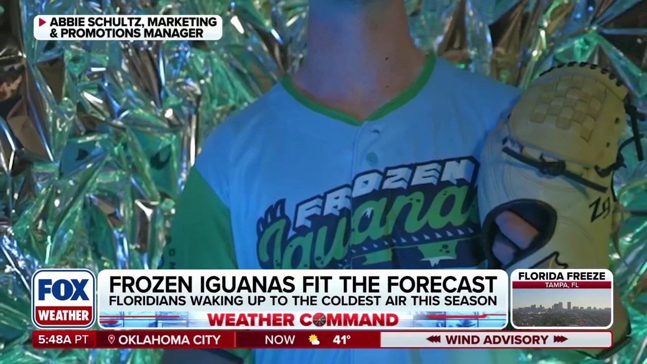 Palm Beach Frozen Iguanas take minor league baseball by storm