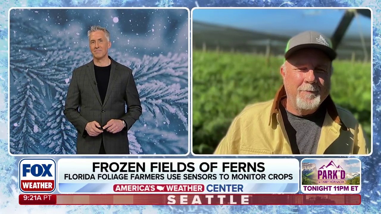 Florida farmers battling chilling temperatures