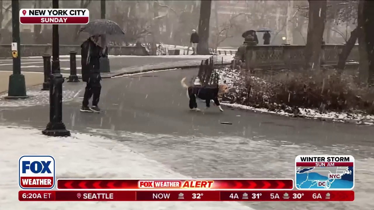 Useful tips to keep your pets safe during this historic winter storm