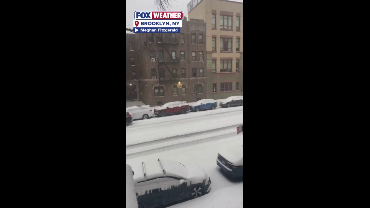 Watch Historic winter storm dumps several inches of snow on Brooklyn ...