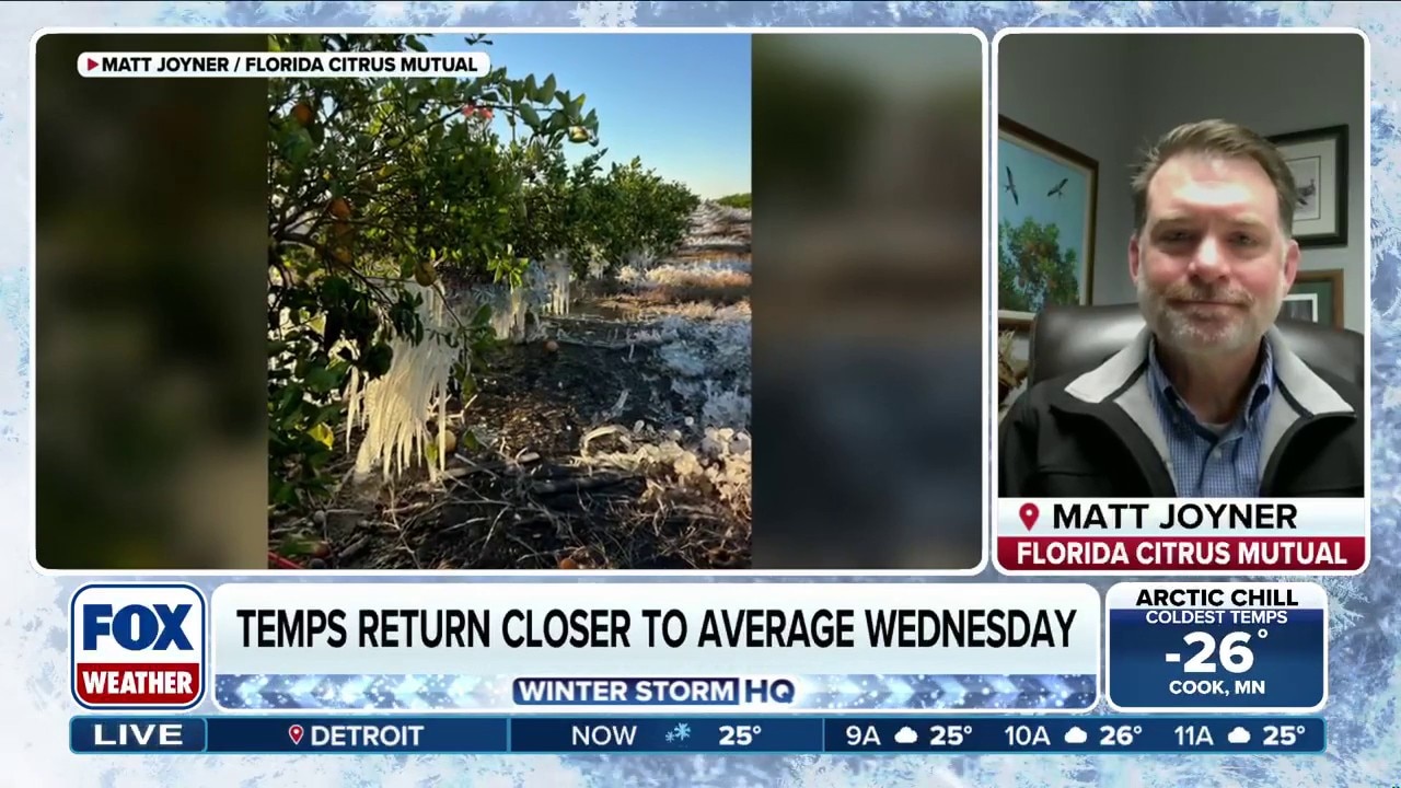 Executive Vice President and CEO of Florida Citrus Mutual Matt Joyner joins FOX Weather to discuss record cold threatening citrus yields