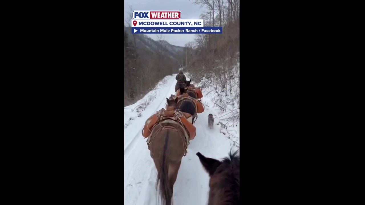 Watch Members of the Mountain Mule Packer Ranch deliver supplies to ...