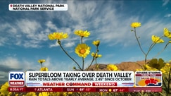 Death Valley likely to see vibrant colors due to rare superbloom this year