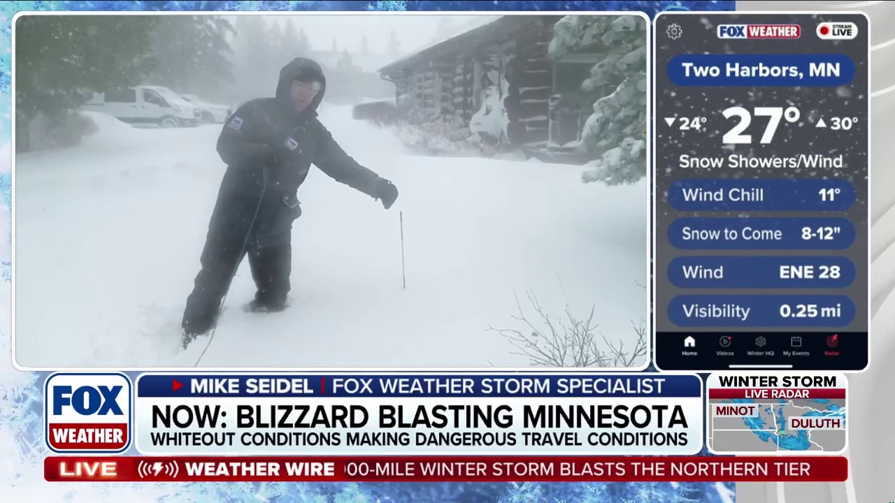 Watch Winter is making a roaring comeback - FWX | FOX One