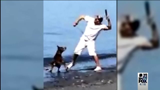 Edmonds dog attack