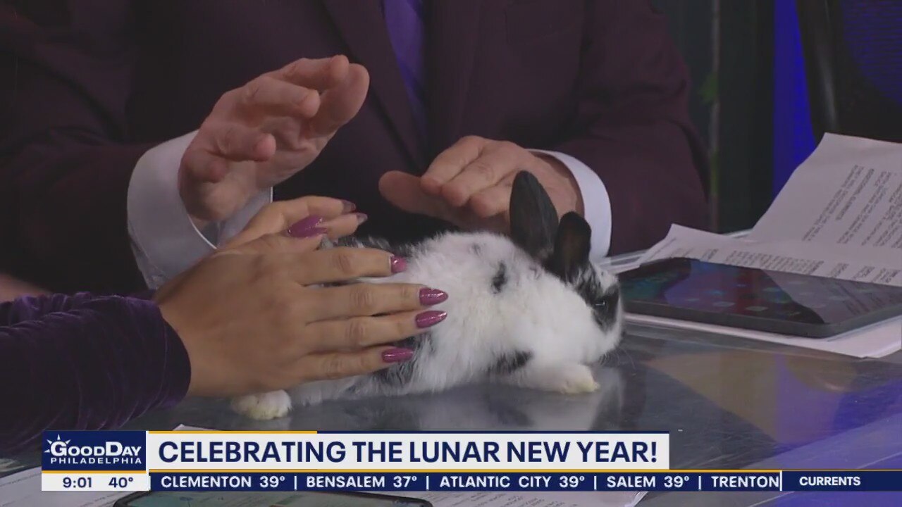 Lunar New Year: Entering the year of the rabbit