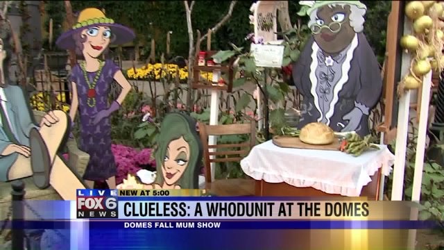 "Clueless" Fall Mum Show runs daily through November 8th