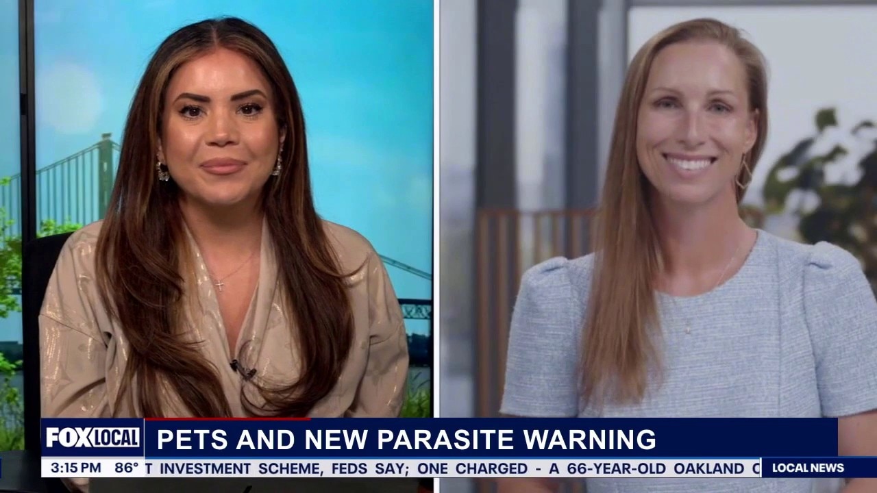 New parasite threat that has pet owners on edge