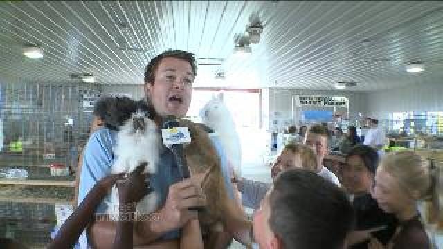 Chip enjoys animals at Washington County Fair