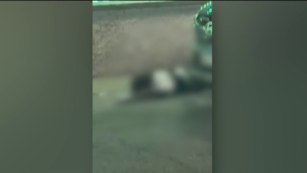 Chicago crime: 2 killed in South Side mass shooting