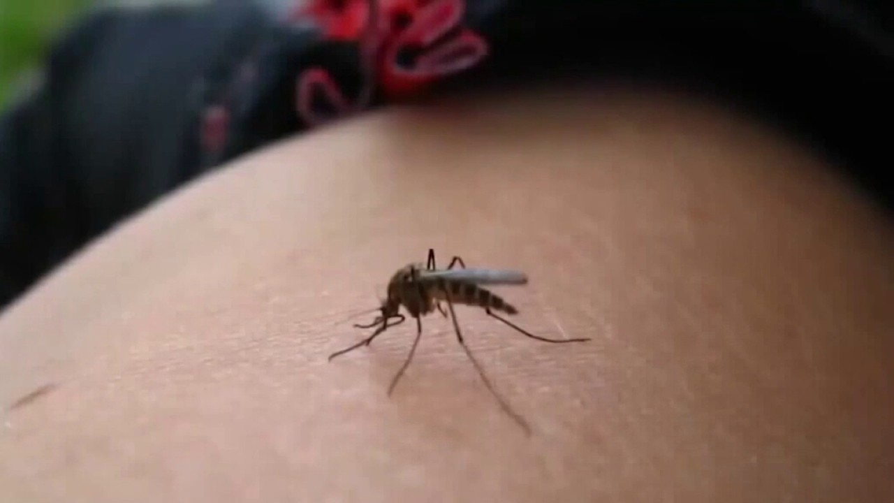 Human West Nile virus case in Racine County