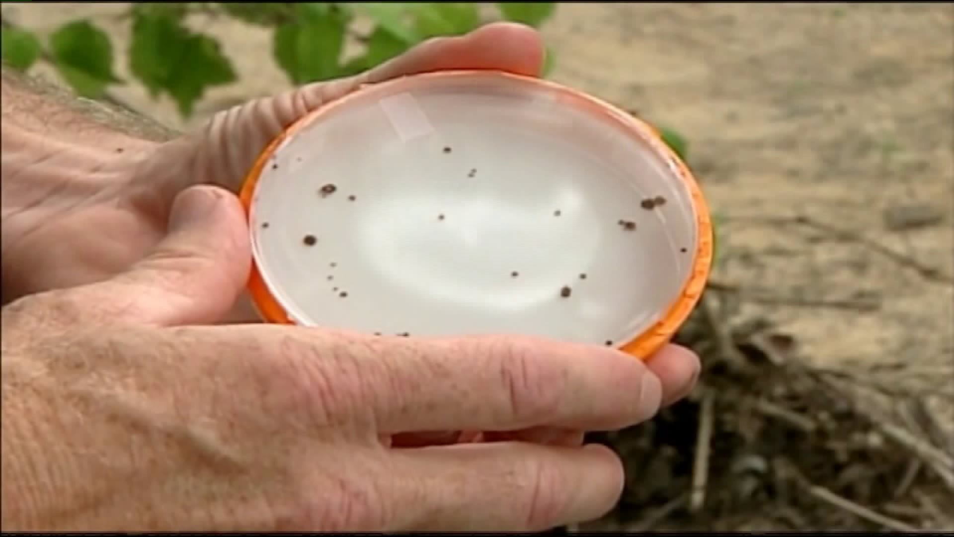 See a tick? Act quick!
