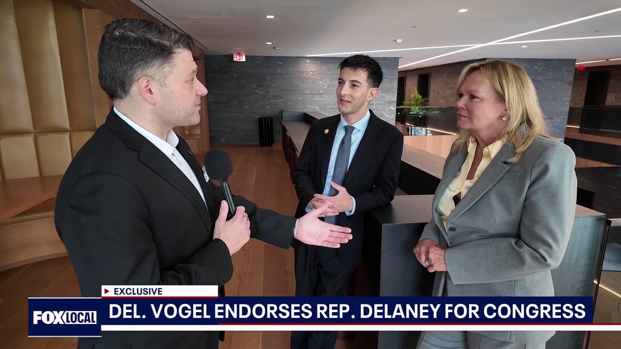 Delaney gets endorsement from former foe Vogel