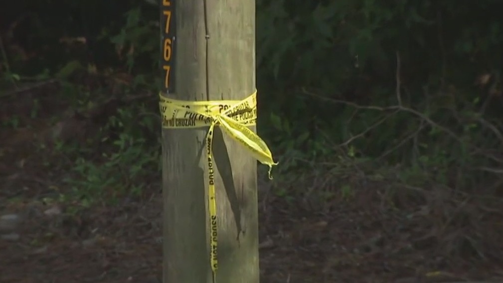 6-month-old baby killed in shooting identified