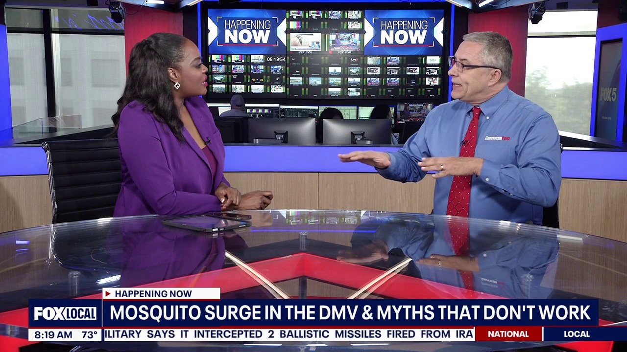 Mosquito Surge in the DMV
