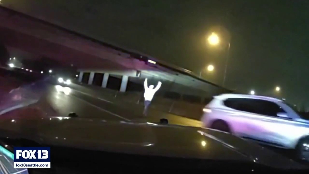 Attempted carjacking suspect arrested after dangerous chase